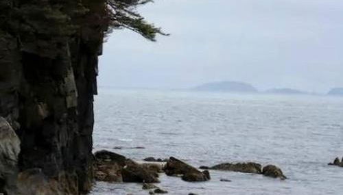 Rustic Cabin Rental for a Secluded Escape to Whale Island, Alaska - Foto 3