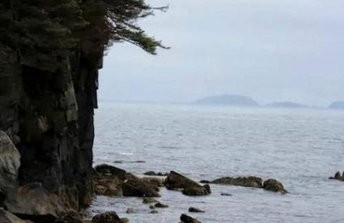 Rustic Cabin Rental for a Secluded Escape to Whale Island, Alaska - Foto 3