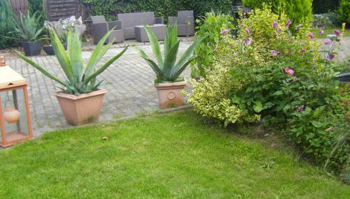 Ferienhaus am Schloßpark - Foto 5, Garden