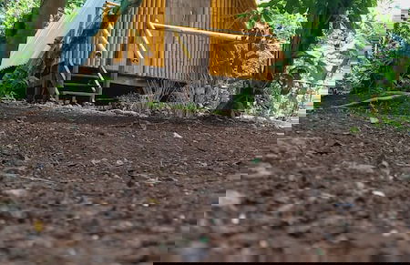 Cabaña el Ermitaño - Foto 11