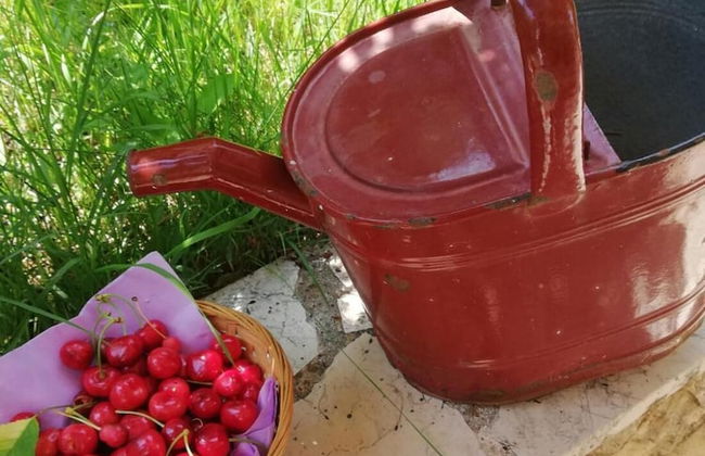 Vacation House Dunja - Foto 14