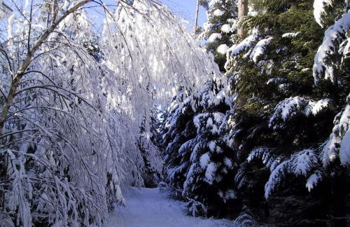 Ferienwohnung Kuckuck auf dem Sommerberg incl Schwarzwald Plus-Karte - 2 Zimmer 50qm - Foto 56