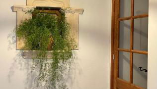 Volcanic Mieres Retreat - Foto 4