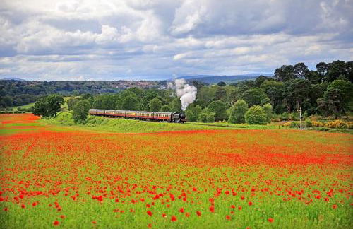 Corner Cottage - Foto 15