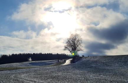 AMW Ferienwohnungen - Foto 70