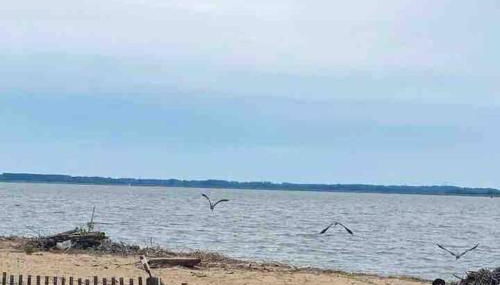 Beachfront Sunsets At Oakwood Beach - Foto 2