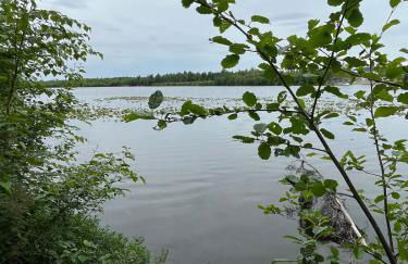 Bass Farm Twin Lakes Couples Dry Cabin - Photo 16