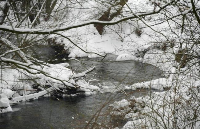 Holiday Home in Germany With Garden Terrace - Foto 22