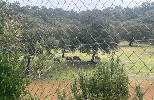 Casa Rural Nacimiento del Hueznar - Tomillo 17 - Foto 42