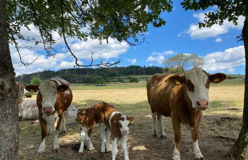 Villa federleicht - Foto 28