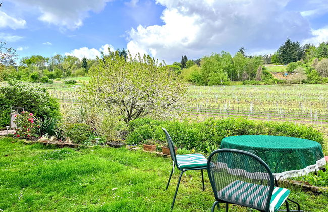 Am Weinberg - Foto 14