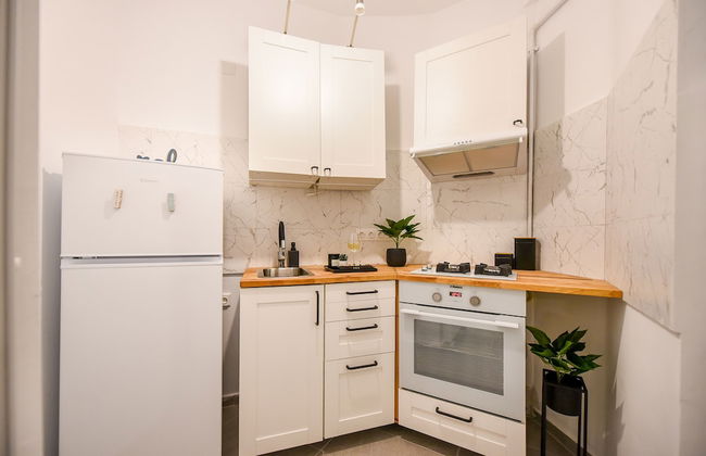 Homey - Bulevardul Carol 1 no. 45 - Foto 29