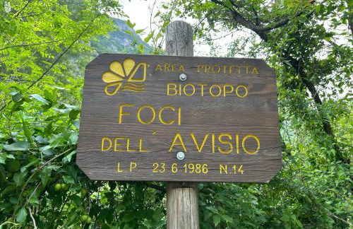 Casa di Gardolo - apartments FREE PARKING - Foto 45