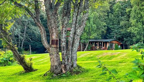 Moose twin cabin - Foto 2