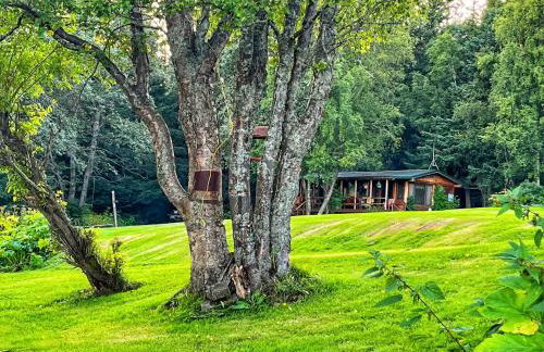 Moose twin cabin - Foto 2