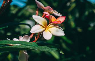 Hotel Rural La Casa Amarilla - Foto 40