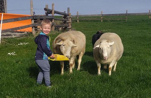 Bio-Ferienhof Köpf - Foto 45