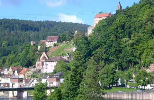 Romantisches Hirschhorn am Neckar - Photo 23