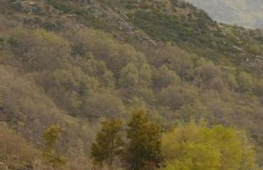 Apartamentos en sierra de gata ALMA - Foto 13