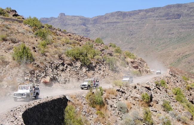 4x4 Safari - Photo 6