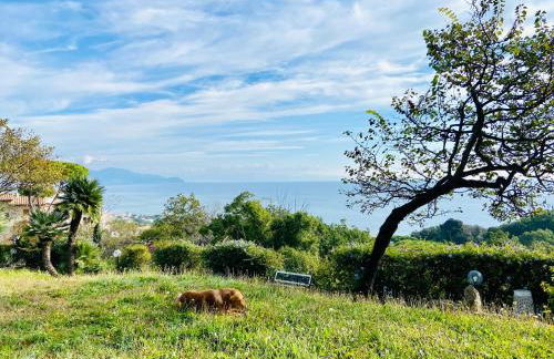 Ippocampo Blanc - Foto 17