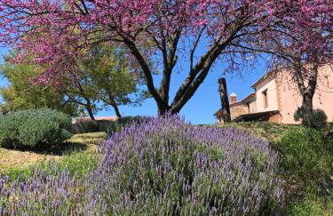 agriturismo Poggio Monte Saturnia - Foto 48