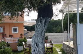 Villa Miranda - Foto 28