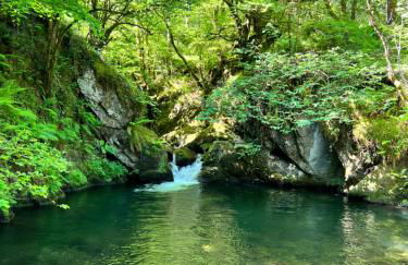 La casita de Olivia Espinaredo - Foto 66