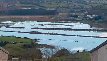 La Casa del Limonero - Foto 3