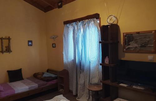 The House of Summer Winds - Photo 34