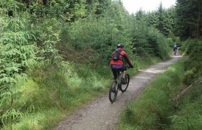 Merlin House - Foto 25