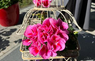 Apartamenty Arkadia przy Amfiteatrze - Foto 24