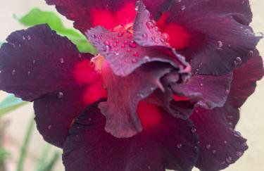 Casa 3 Suites COM Piscina Privativa - ao lado de Vilas do Atlântico! - Foto 26