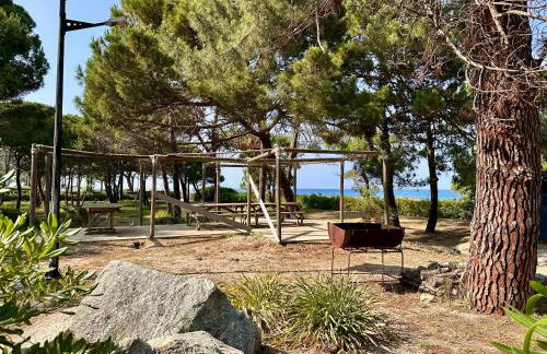 Pineto, villa 3 chambres au coeur de la pinède - Foto 29