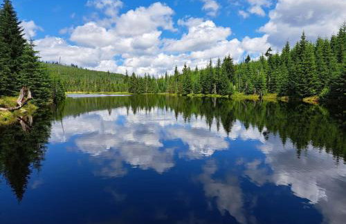 Apartment Landhaus Wildfeuer by Interhome - Foto 44