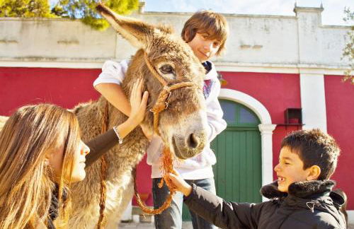 Agriturismo Sierro Lo Greco - Foto 1