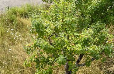 FeWo - LOFT Mosel & Weinquartier, Balkon, Parkplatz, moderne Küche, bis 8 Personen - Foto 32