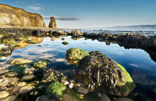 35 Quaker Lane - Foto 62