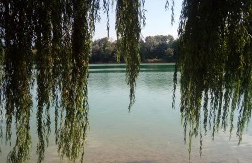 la ferme du parroi - Foto 23