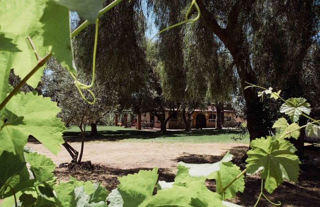 Rancho Toros Pintos - Foto 32