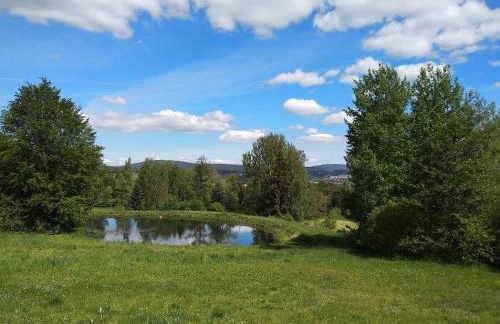 Ferienwohnung Fichtelzauber - Foto 33