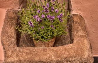 Casa Vacanze Tra I Monti e San Martino - Foto 21