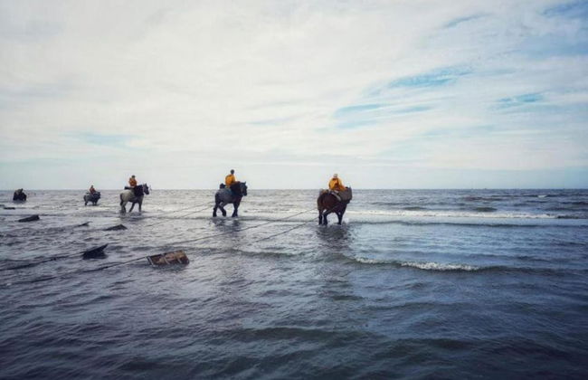 Apartment by Belgian Coast With Sun Terrace - Foto 38