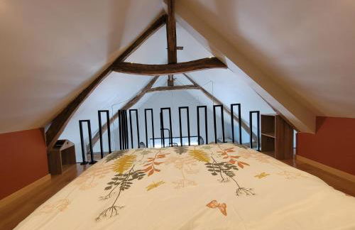 La Mésange bleue - Foto 9