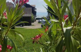 Birkhofer See genießen - Haus Seehang - Foto 36