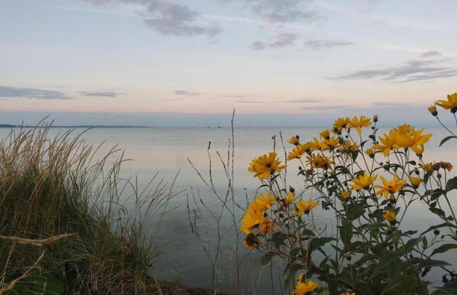 Sunny Apartment Directly on the Heegermeer - Foto 34