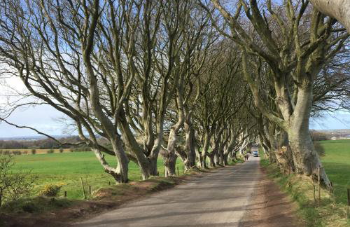 Ballymacdoe Cottage Cushendall - Foto 47