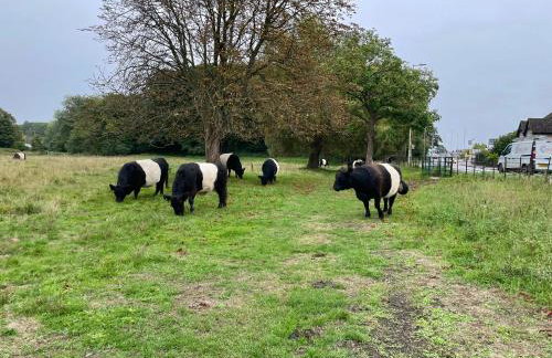 Aspen Villa, Apsley Station - Foto 43