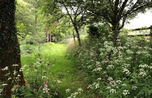 Chilvery Farm Cottage - Photo 20