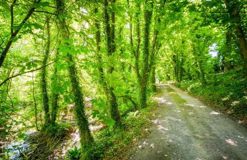 Till Cottage and Riverside Gardens nr Stonehenge - Foto 62